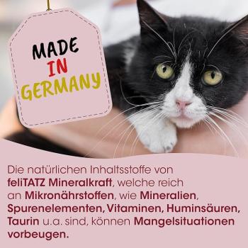 Preview: Katzen Mineral 150 g